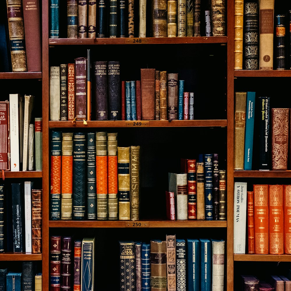Reading Year Bundle, 12 books
